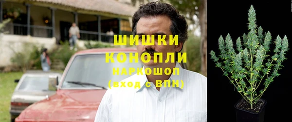 гидропоника Белокуриха